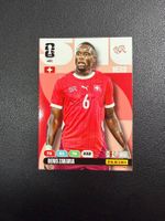 Panini FIFA World Cup 2026 Denis Zakaria 461