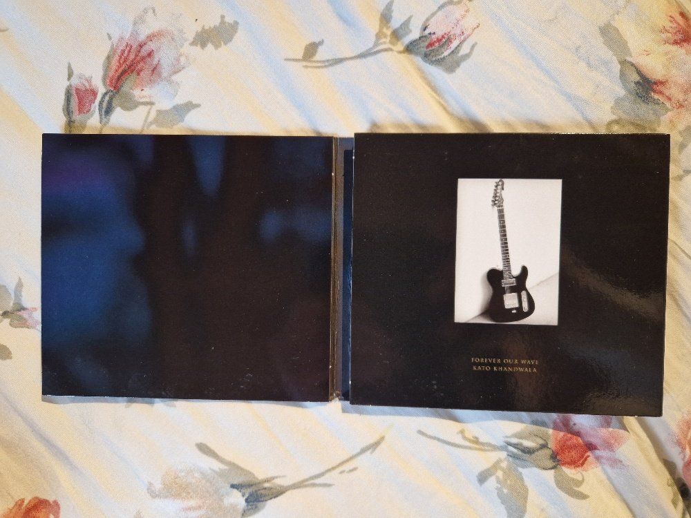 CDs: The Pretty Reckless – Death By Rock And Roll – Gebraucht aus Brittnau von Zibu 2