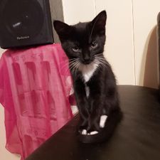 Profile image of Andgy