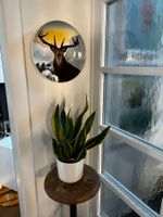 VILLEROY & BOCH Vintage Wandteller 50-er Mid Century Reh