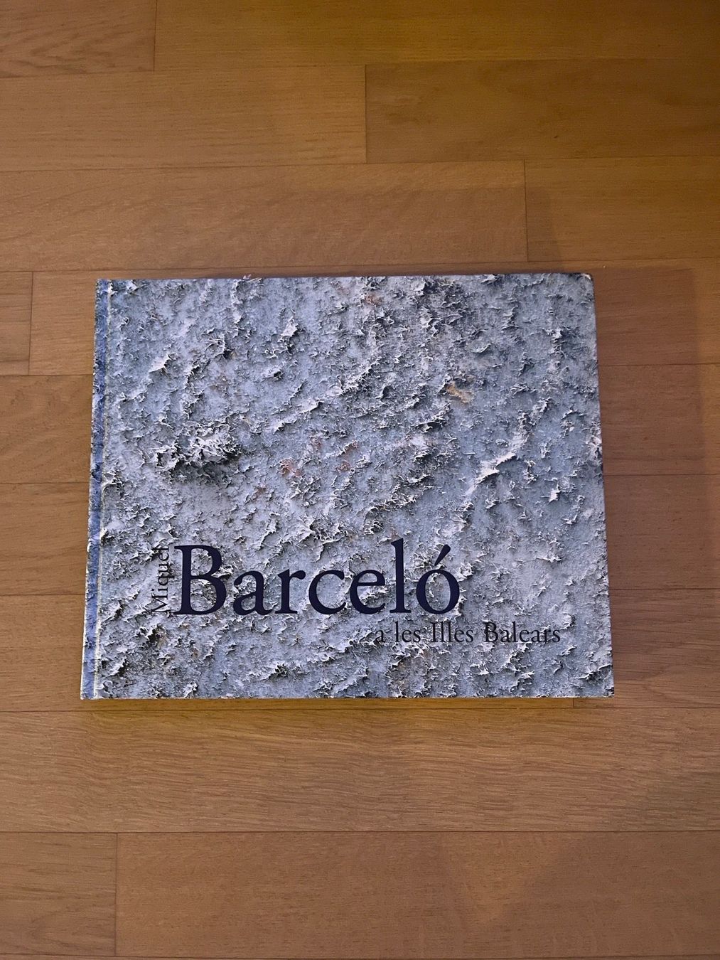 Libri: Miquel Barcelo "a les Illes Balears" – Nuovo (secondo la descrizione) da Dübendorf venduto da TojaRose