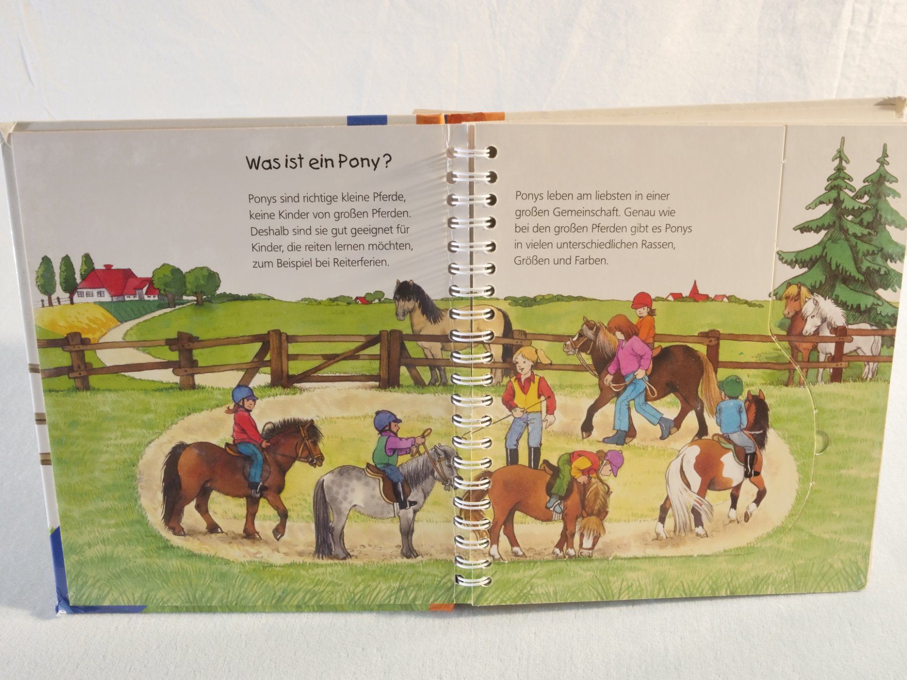 Bücher: Wieso Weshalb Warum? junior: Das Pony – Gebraucht aus Lustmühle von Glatisant 2