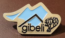 R694 Pin Ferienhaus gibeli TV Lorraine Breitenrain Achseten