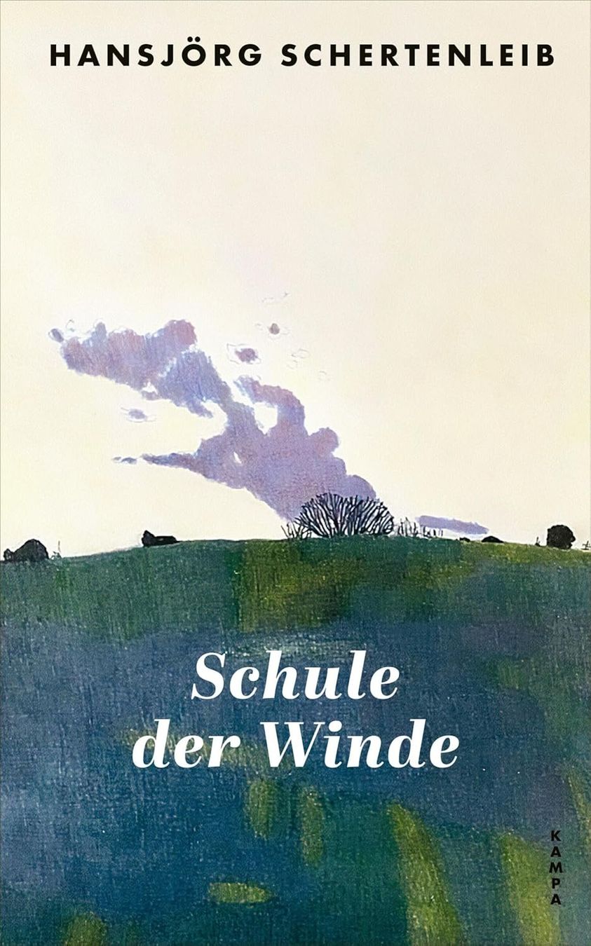 Libri: Schule der Winde – Usato da Neuchâtel venduto da Dualseele