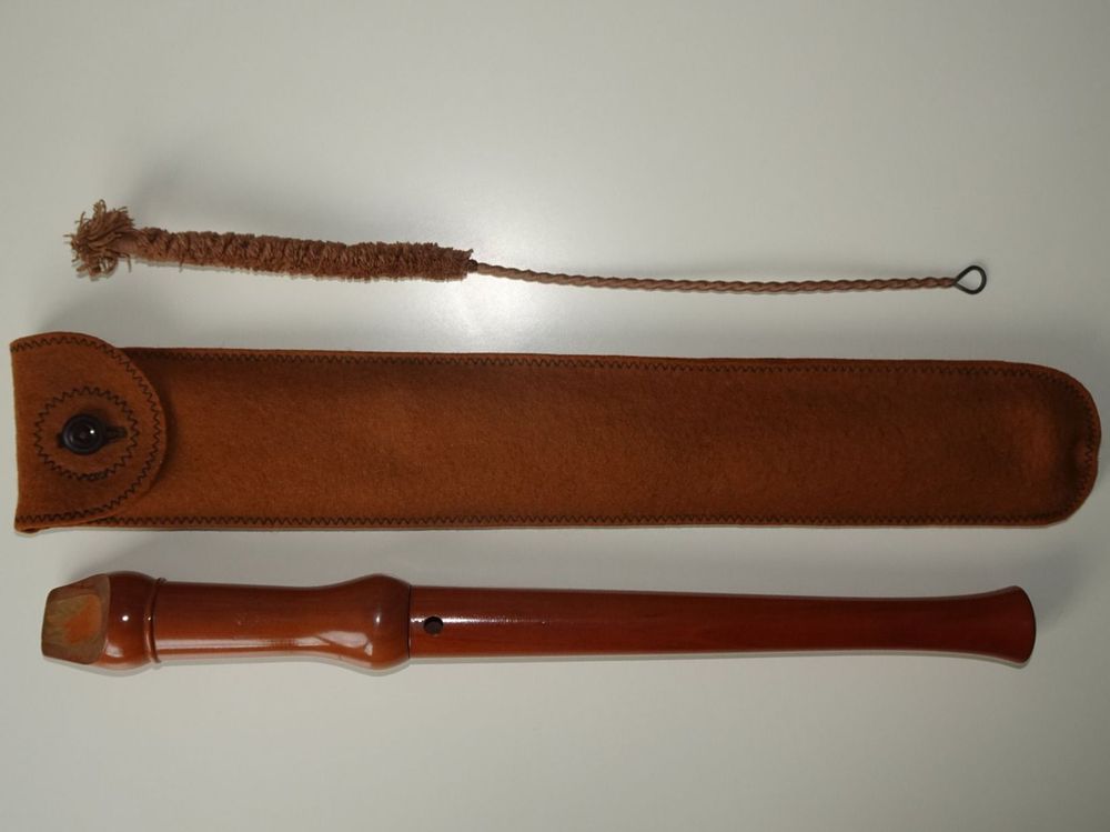 Flûtes à bec en bois colorées pour enfants, instrument de musique