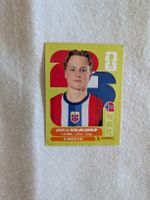 Panini Bild NOR 12