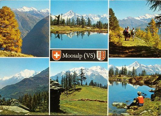 Cartes postales: TÖRBEL Moosalp ob Bürchen – Neuf (Voir description) à Jona par philajona