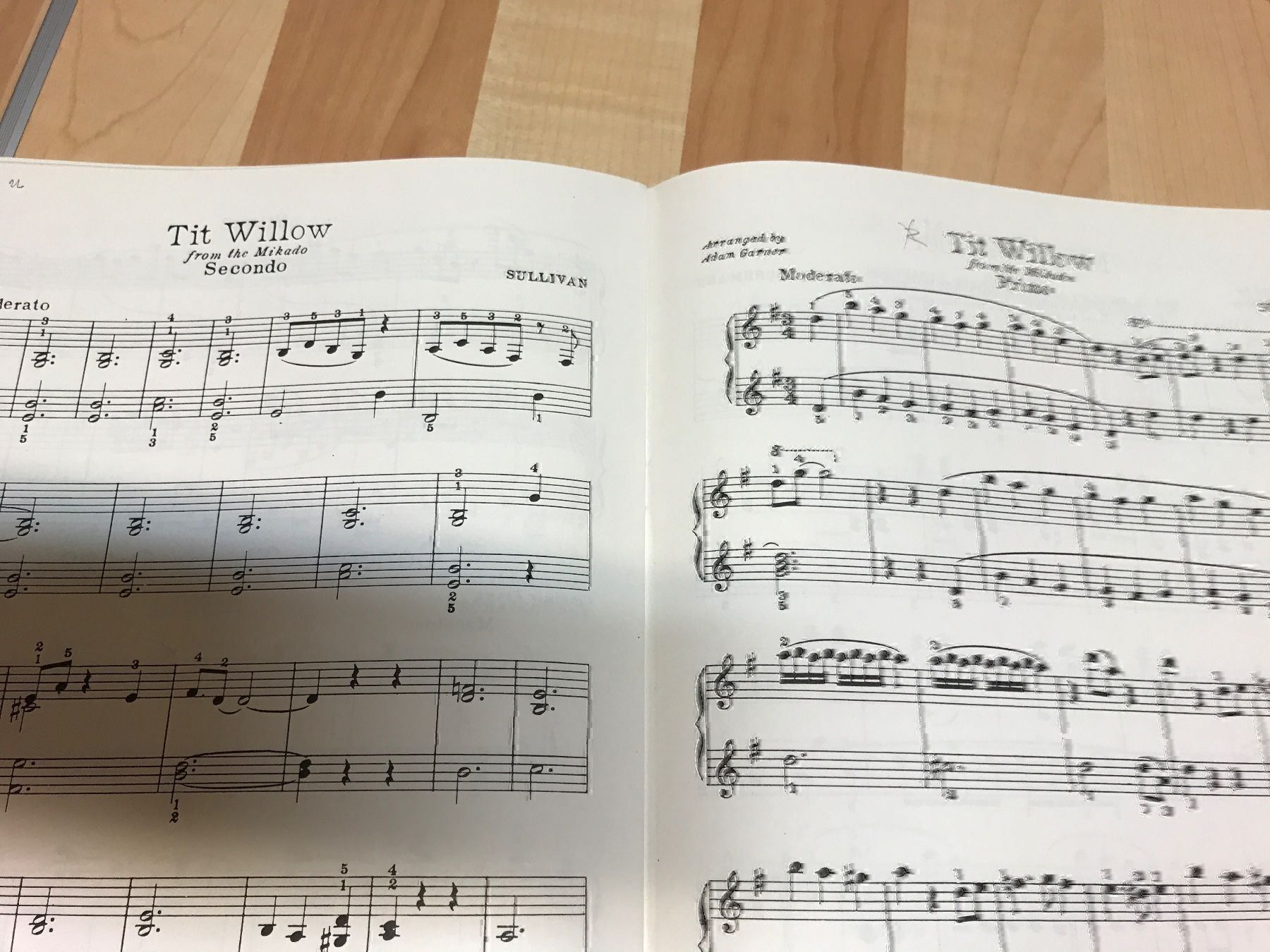 Libri: Klaviernoten David d Hirschberg – Usato da Oberweningen venduto da Jogi2 2