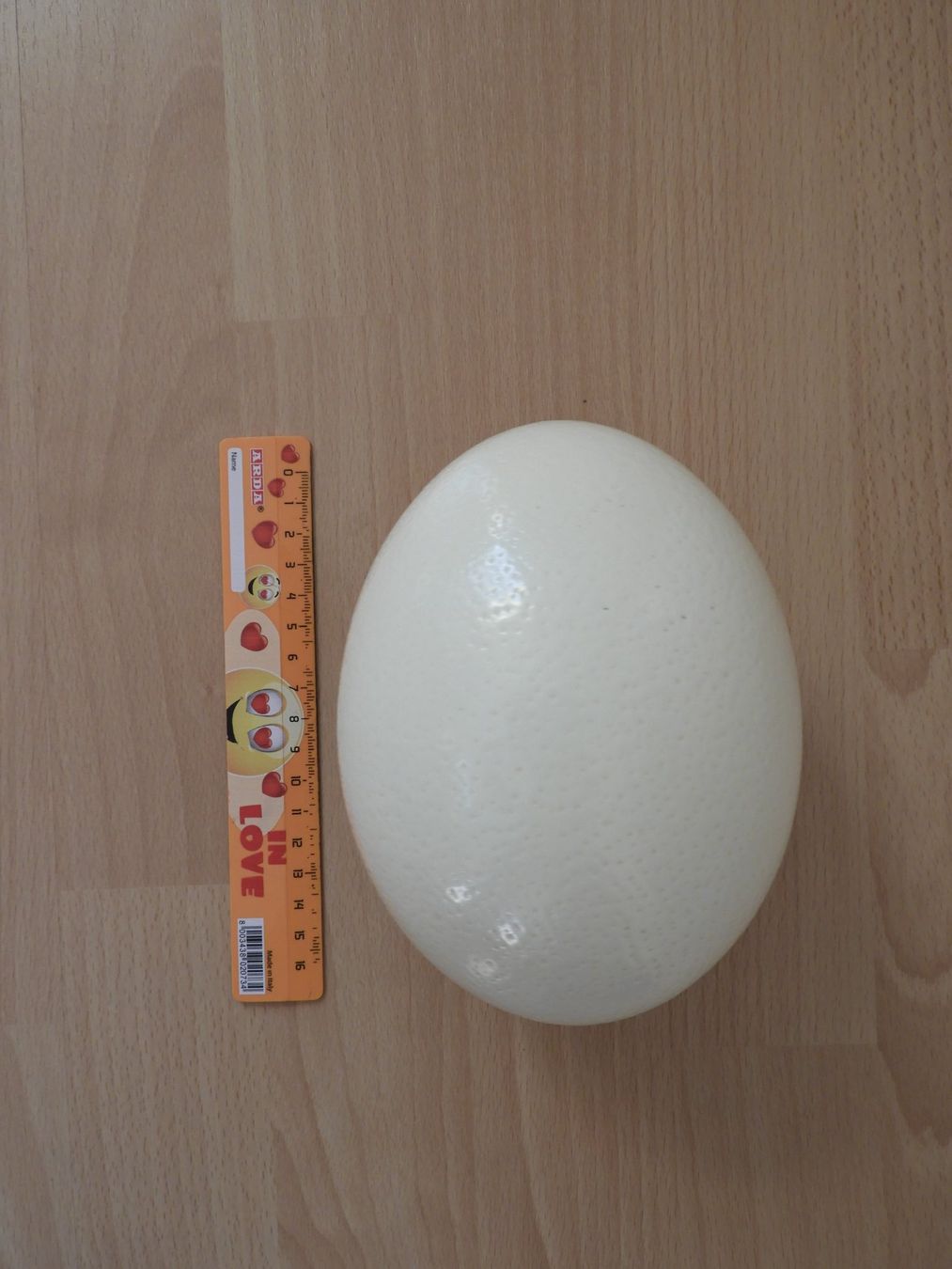 Tutte le decorazioni: Oeuf d'autruche véritable! – Usato da Dombresson venduto da sev_bsb8 3