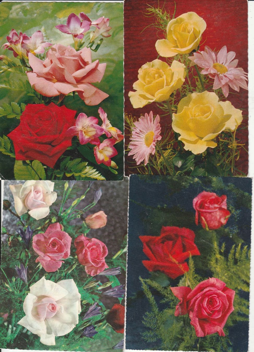 Ansichtskarten: 36 Scöne Blumenkarten – Gebraucht aus Lumbrein von made02 4