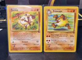 Mankey & Primeape – Jungle Set