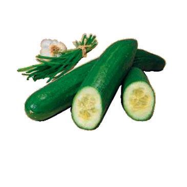 Elettrodomestici da cucina: Gefu Universal 4-Kant Reibe, Edelstahl – Nuovo e nell'imballaggio originale da Wettingen venduto da kochshop 2