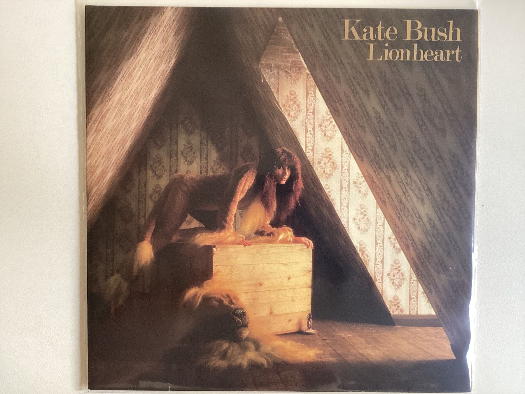 Dischi in vinile: Kate Bush LP - Lion Heart – Usato da Gutenswil venduto da Hamzian