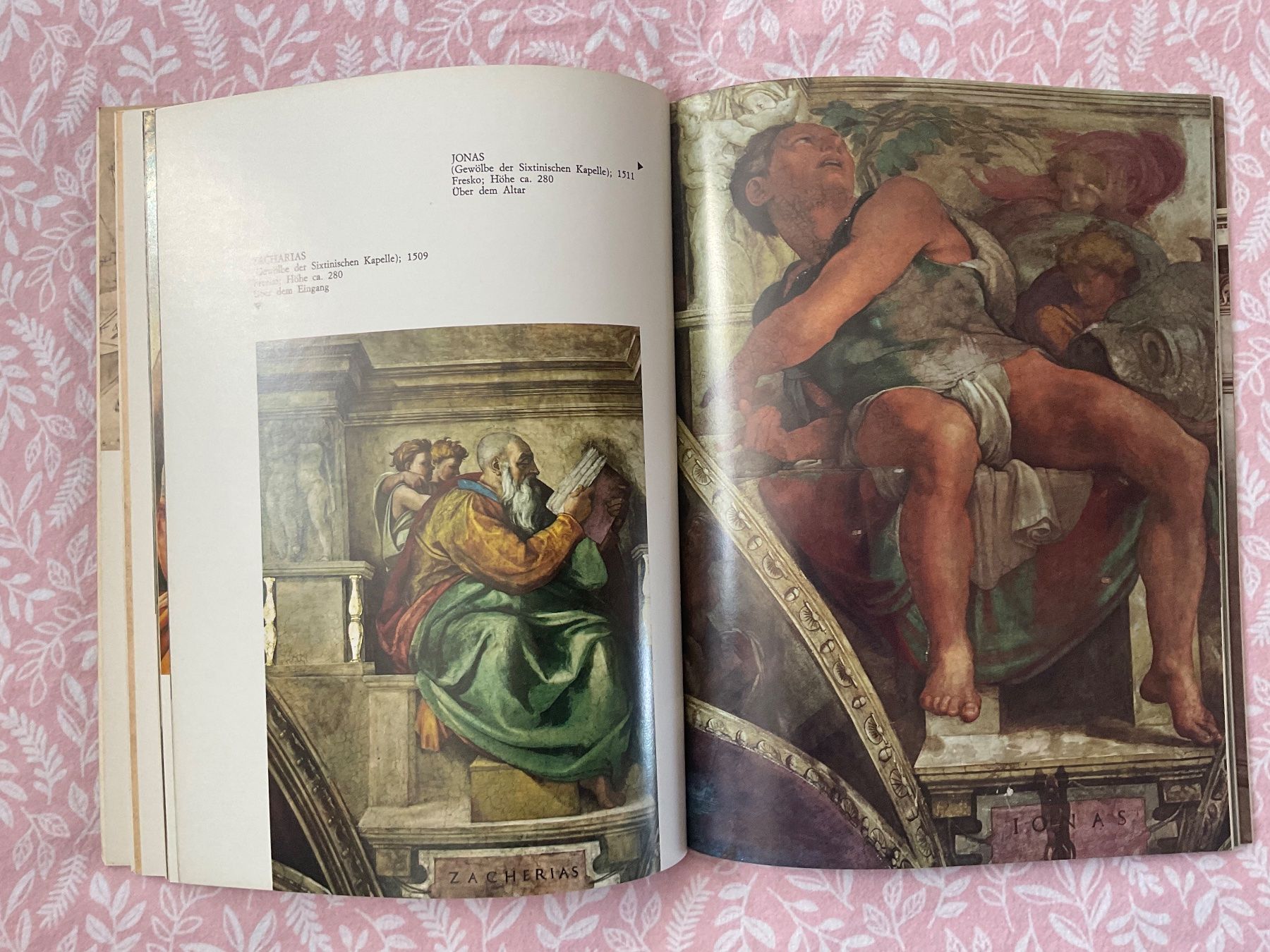 Libri: Michelangelo, alle Werke – Usato da Zürich venduto da Tolima194 8