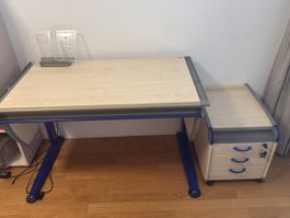 Schreibtisch Moll Winner (höhenverstellbar) inkl. Korpus