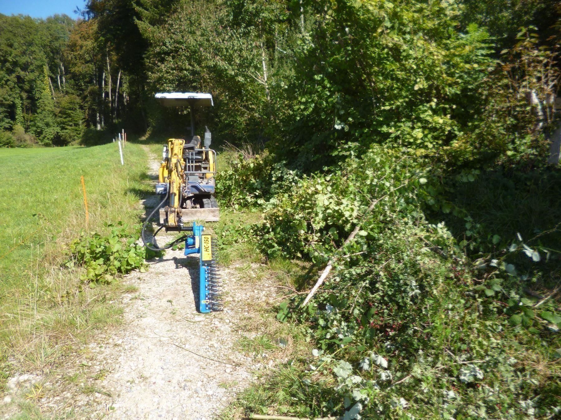 Escavatori: Astschere 150 cm / 180 cm – Nuovo (secondo la descrizione) da Kastanienbaum venduto da acapulco 4