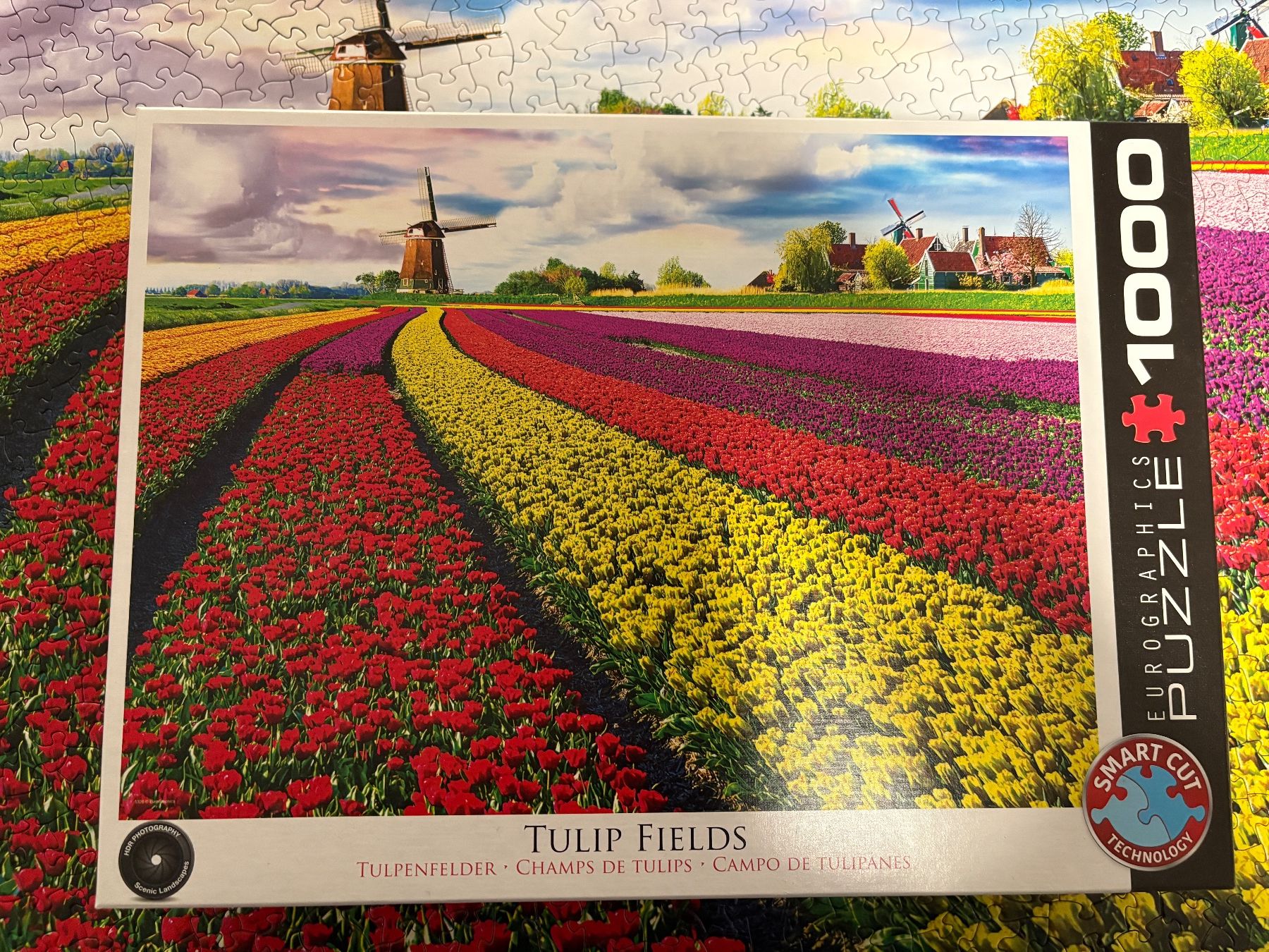 Puzzle: Puzzle "Tulpenfelder" 1000 Teile – Usato da Auenstein venduto da 5222 2