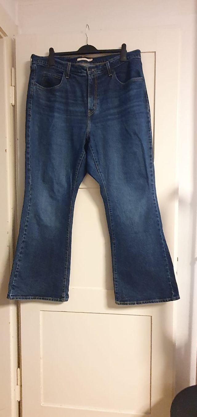 Levi's Jeans: Levis Jeans Grösse 46 / 16W – Nuovo (secondo la descrizione) da Wangen SZ venduto da mollosser 1