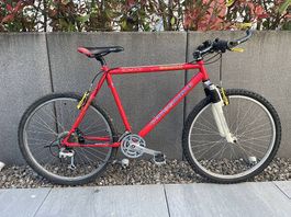 VTT Crosswave 26 pouces très bon état