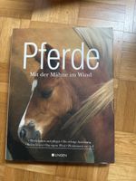 Pferde Mit der Mähne im Wind