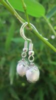 Wundervoller Ohrschmuck mit echten Süßwasserperlen Swarovski