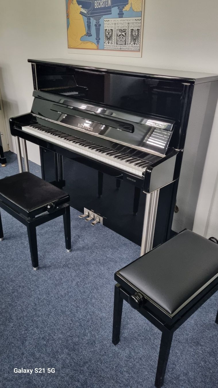 Strumenti musicali: Rönisch Klavier Designer Edition – Usato da Winterthur venduto da hadok7
