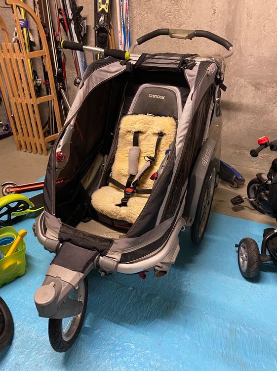 thule chariot 1 kind