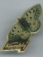 Kambly Schmetterling , Pin