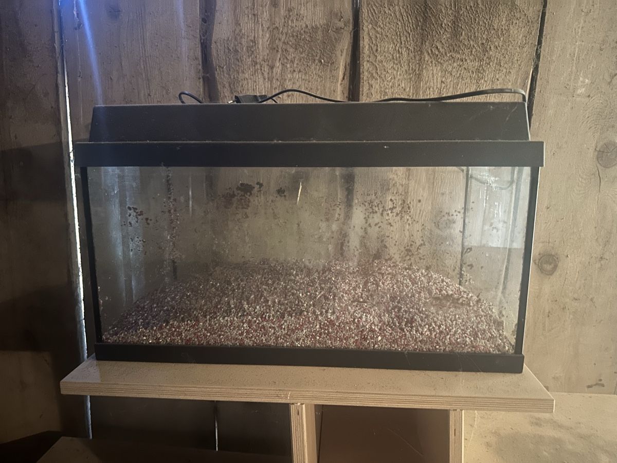 Aquarium: Aquarium  – Gebraucht aus Niederwangen BE von 08_Diva