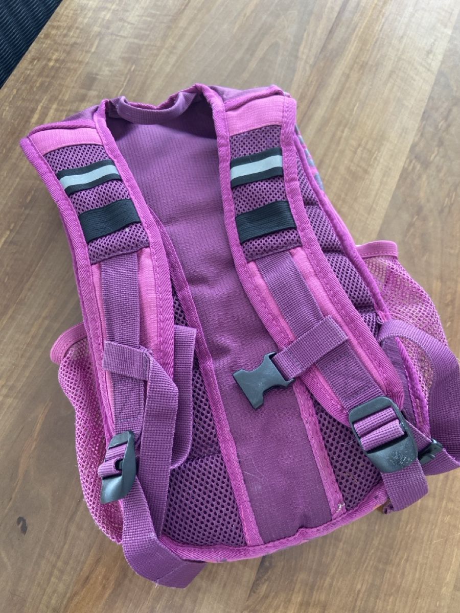 Borse & Zaini: Robuster Schulrucksack, Känguru, lila – Usato da Würenlingen venduto da GSP7521 1