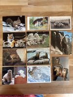 AK mit Tiere Motiv
