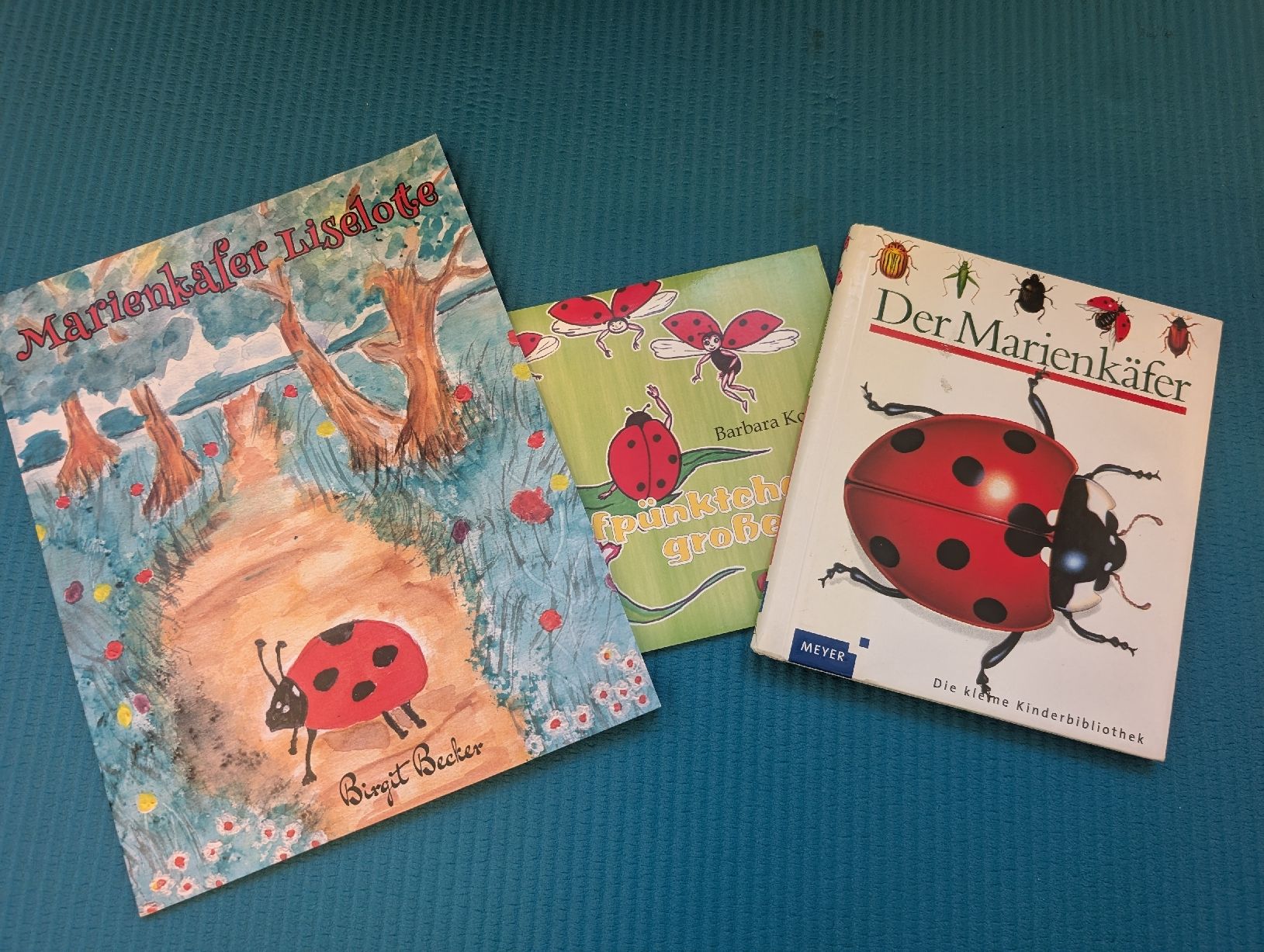 Bücher: 3 Kinderbücher Marienkäfer  – Gebraucht aus Dörflingen von Benito88