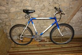 Klassisches Mountain Bike Stahlross MTB VTT