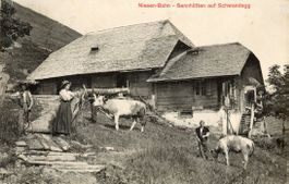 Niesen   BE  -   Schwandegg / Stabstempel: NIESEN    um 1917