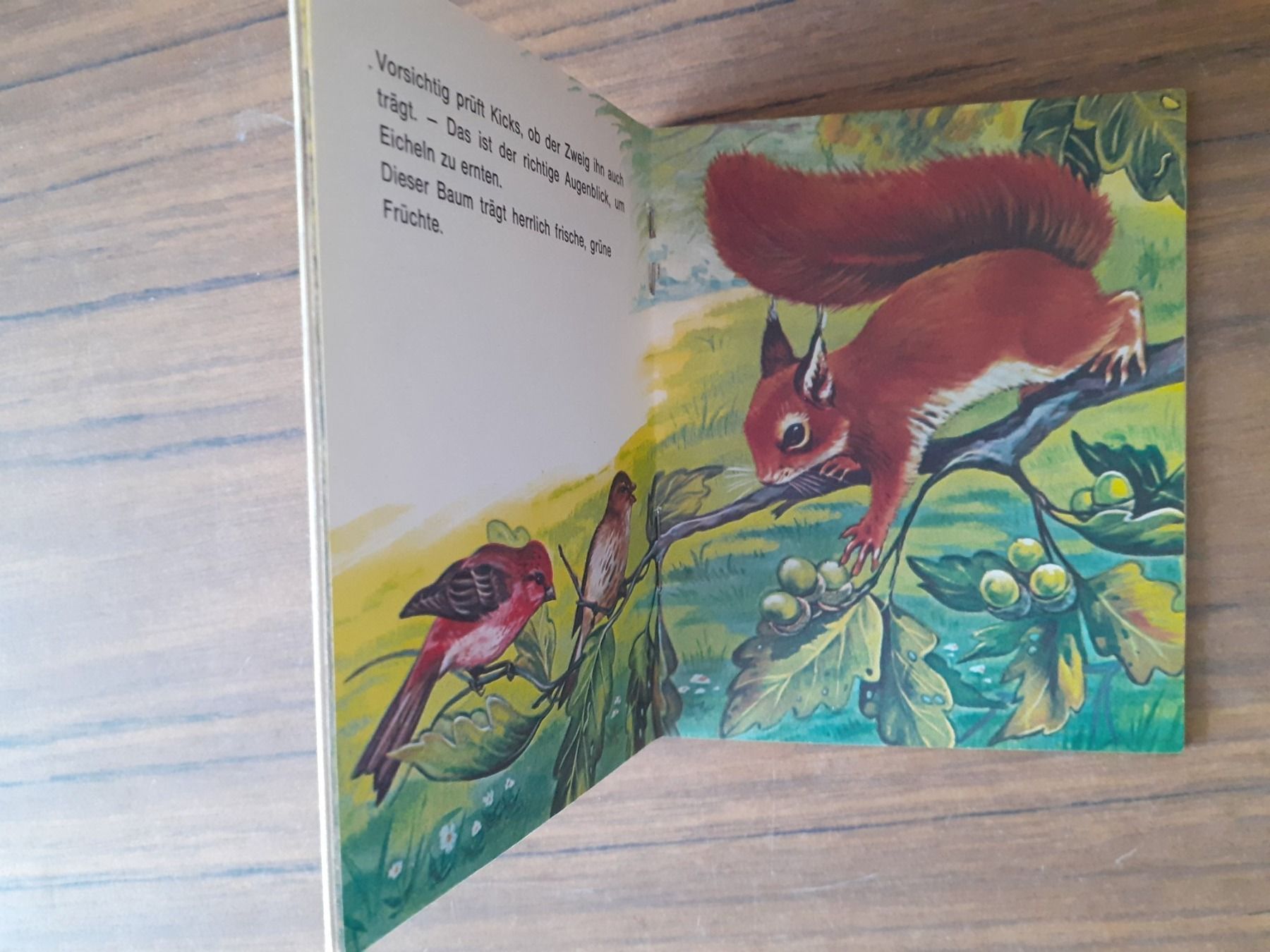 Libri: Lito Kinderbücher - Kicks – Usato da Mörschwil venduto da lindaswunderkiste 3