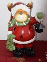 Weihnachtselch leuchtet:-)