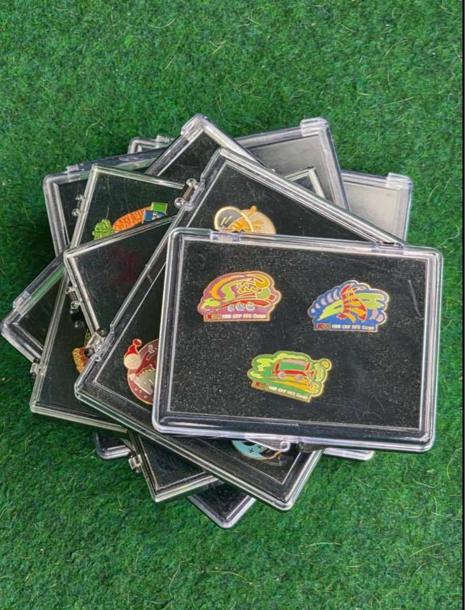 Plaketten & Abzeichen: Vintage PIN - Set‘s – Gebraucht aus Wangen b. Olten von Finolino28 8