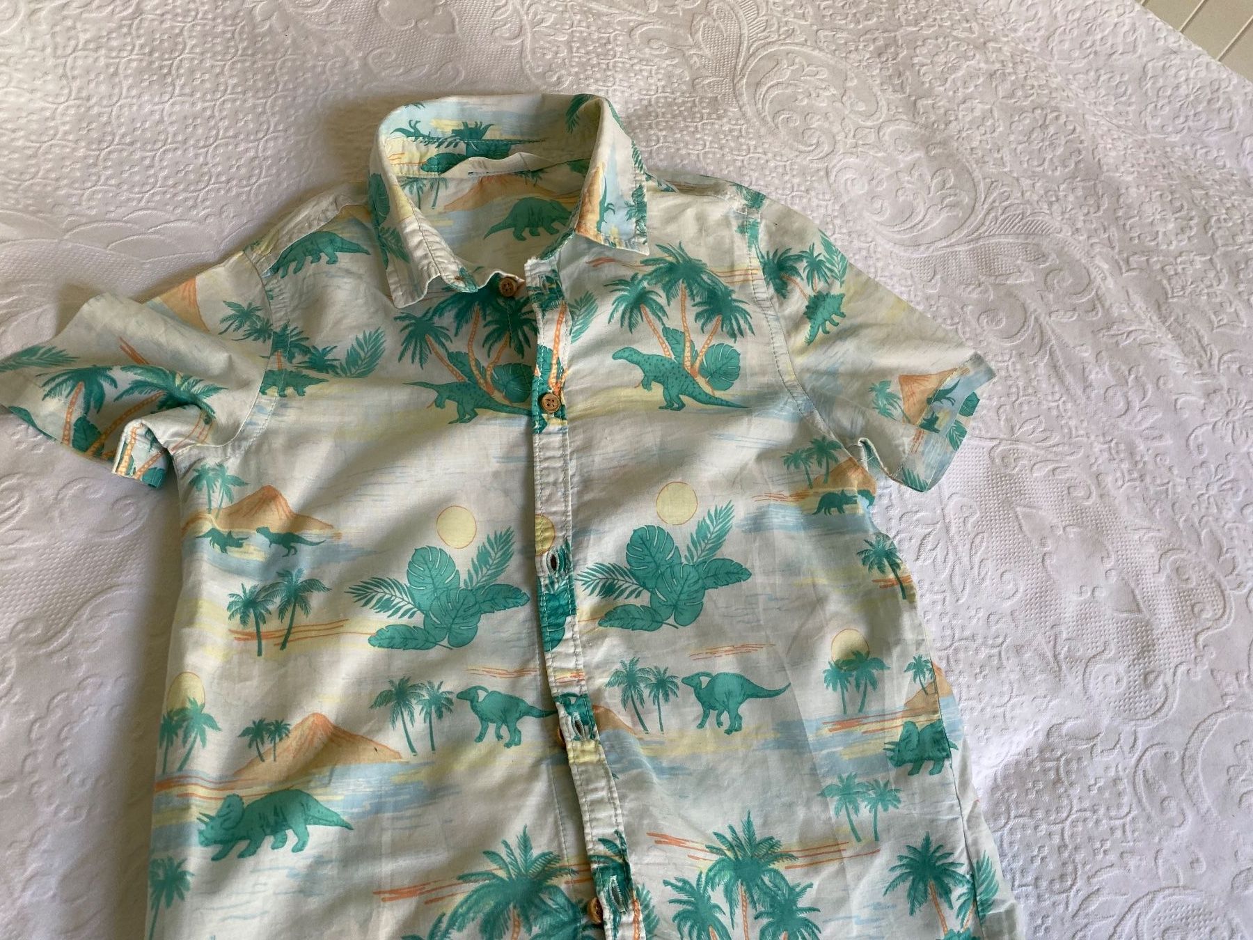 H&M Hemden, T-Shirts & Polos: H&M Hemd Gr. 128 mit Dinosauriermuster, Sommerlich! – Gebraucht aus Fribourg von geraldine132 3