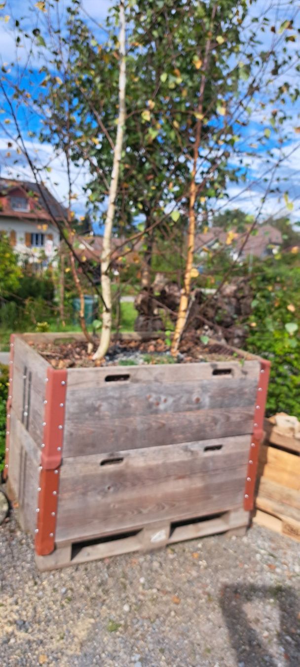 Paletten: palettenbox mit zubehoer neu – Neu und originalverpackt aus Benzenschwil von 007tinu 6
