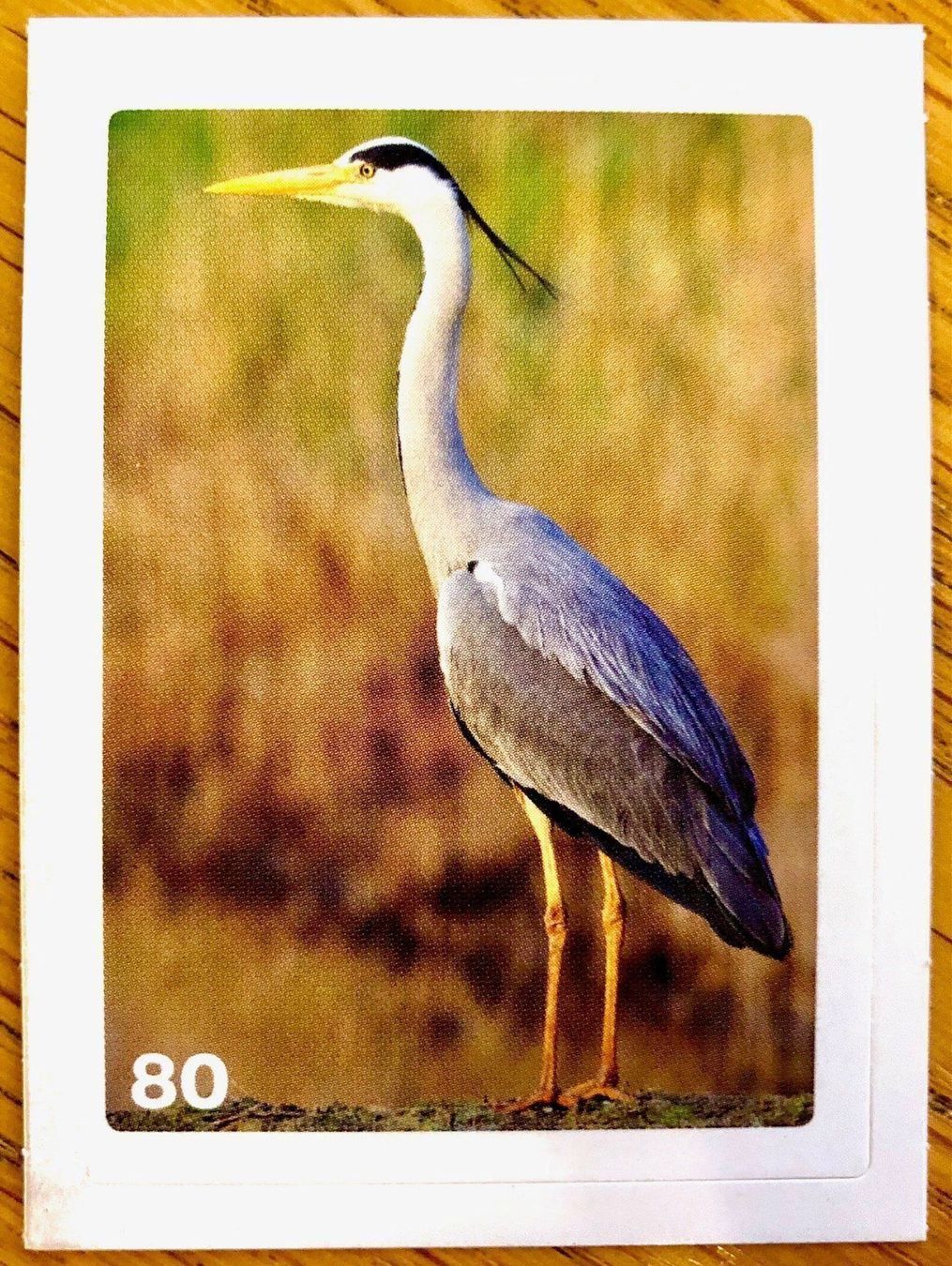 Migros Carte collezionabili: Migros Nature Detectives - Bild Nr. 80 – Nuovo (secondo la descrizione) da Oberrieden venduto da Zimmerberg10