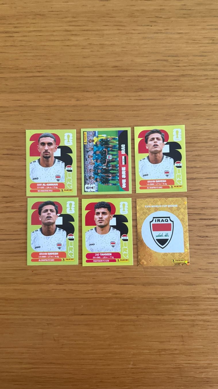 Panini Carte collezionabili: Panini Sammelbilder – Nuovo (secondo la descrizione) da Zürich venduto da shopping.basket