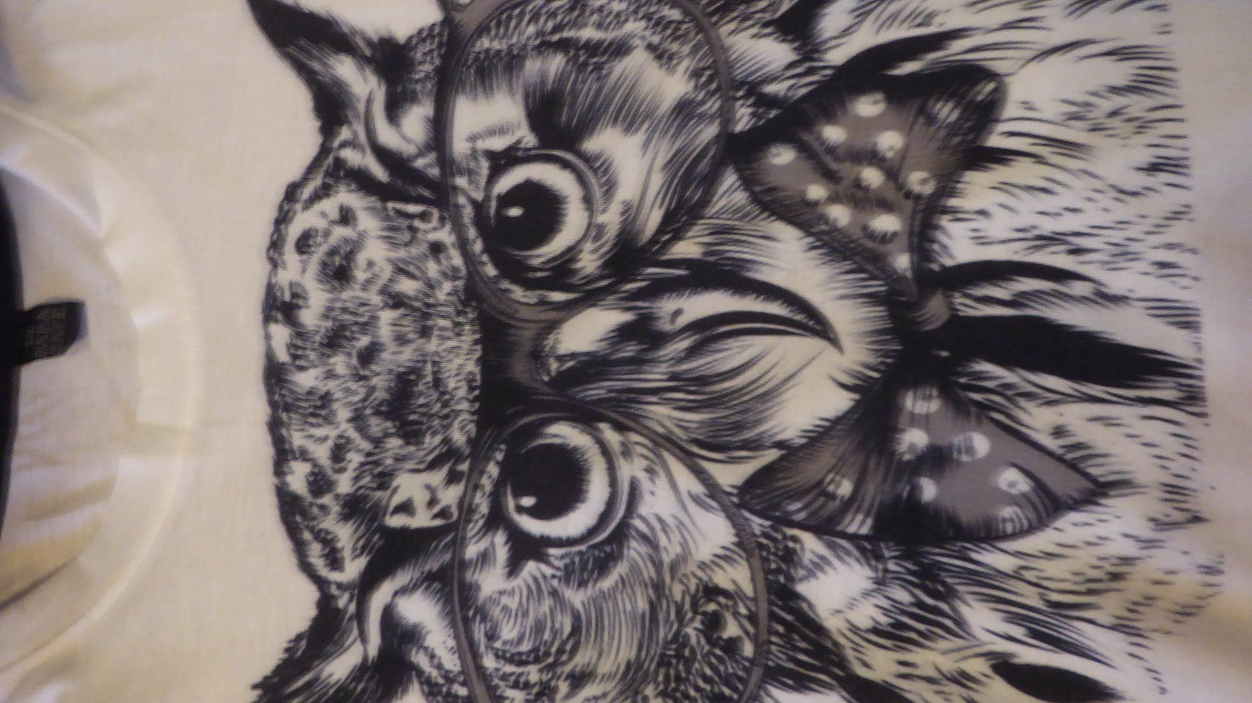 Lotti di vestiti: 4 schöne Tshirt EULEN MOTIV Gr S – Usato da Sargans venduto da Benziner 2