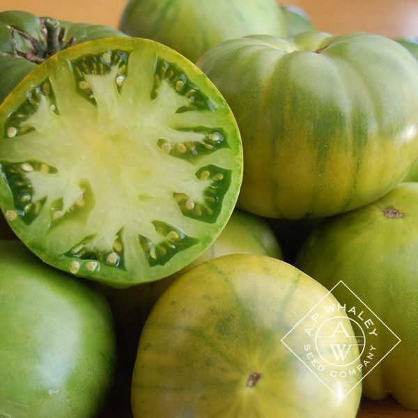 Pflanzen & Samen: 30 Samen AUNT RUBY GERMAN GREEN Tomate – Neu (gemäss Beschreibung) aus Ehrendingen von VerveinaSamen 8