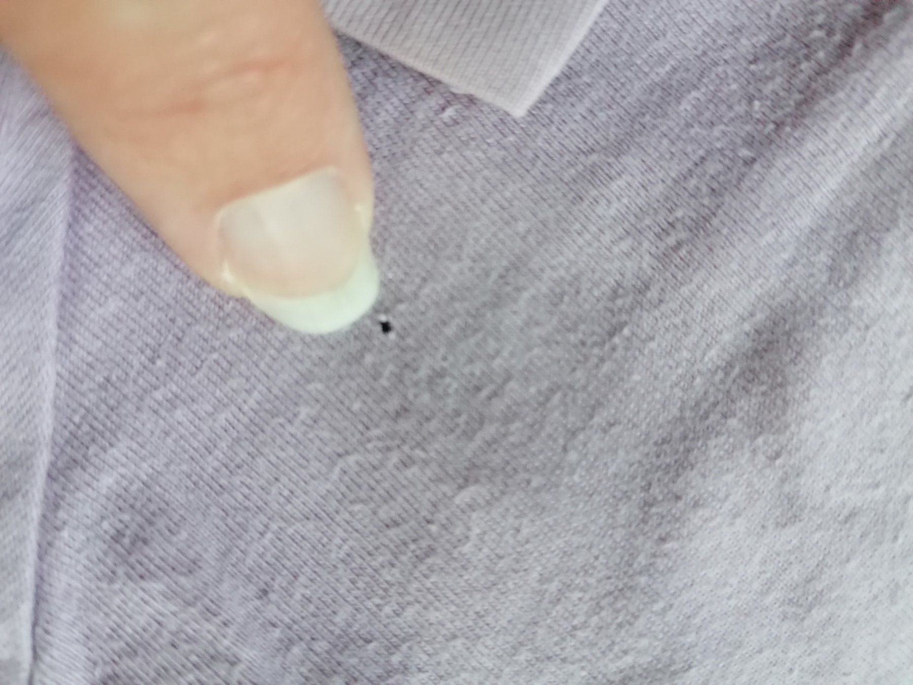 Maglioni & Felpe: Langarmshirt Gr. 80 – Usato da Büttikon AG venduto da Amineah 1