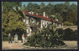 AK Bern, Botanischer Garten, 1913