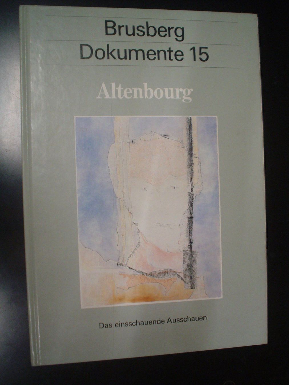 Bücher: Altenbourg Malerei klassiker – Gebraucht aus Welschenrohr von Regool 3