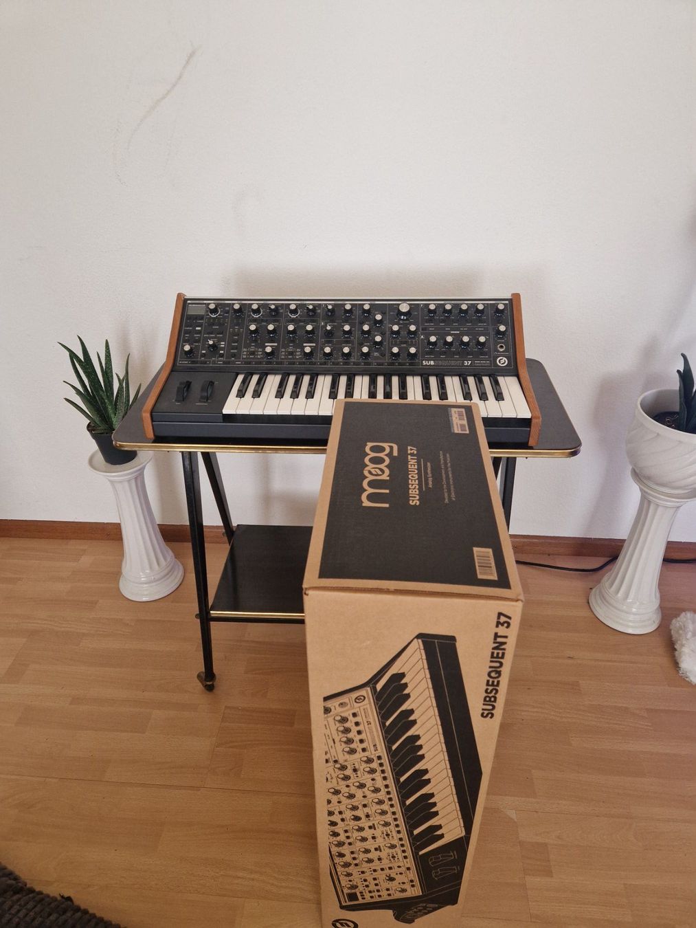 Moog Instruments de musique: Synthesizer Moog Sub Sequent 37 zu verkaufen – D'occasion à Laufen par jeremyjoelheinis 3