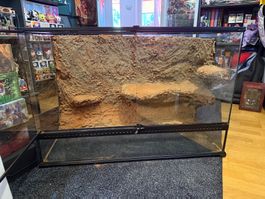 Exo Terra Terrarium 90x45x60 cm mit selbstgebauter Rückwand