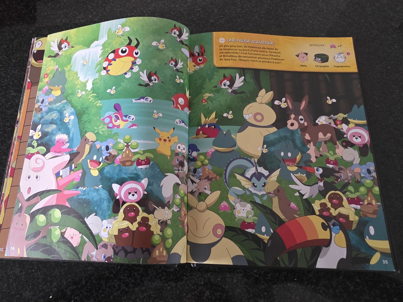 Libri: Livre Pokémon Formidables Aventures  – Usato da Chavornay venduto da Crash37 4