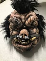 Estrich Fund / Fasnachts Maske